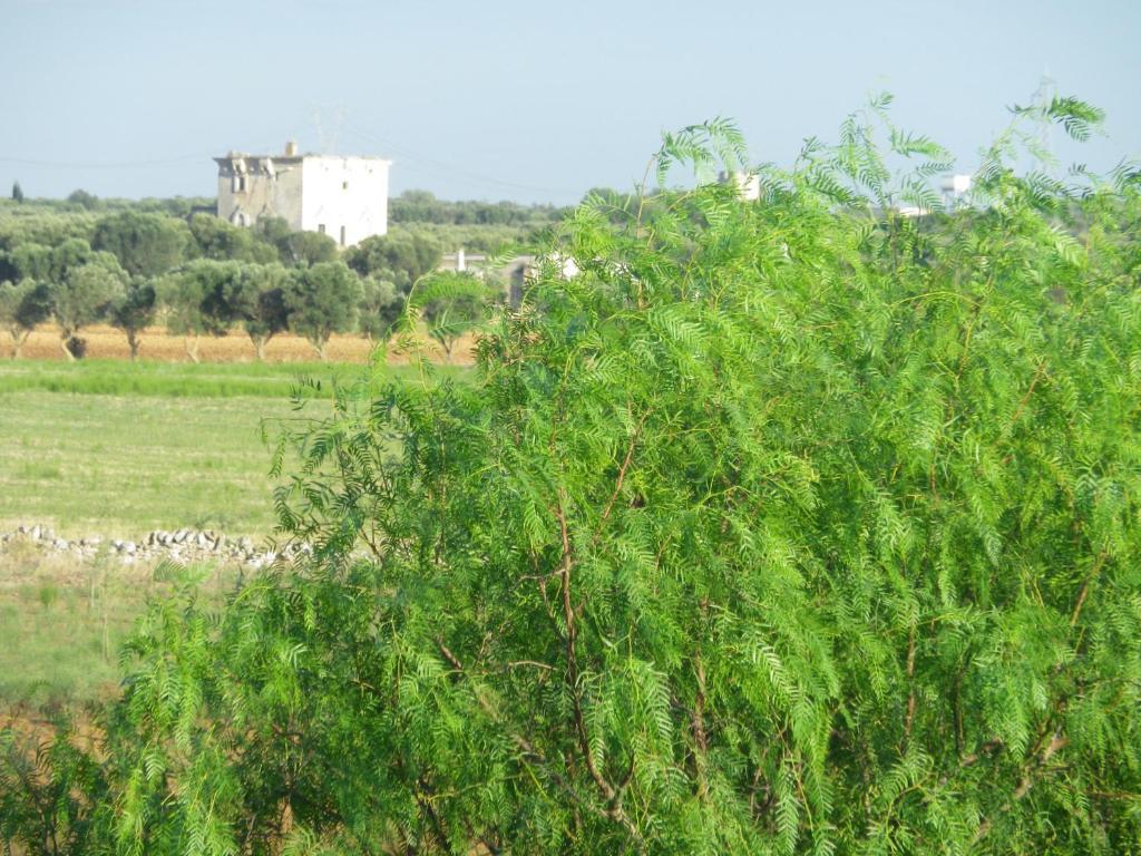Casa Colonica Liliane Vakantieboerderij Porto Cesareo